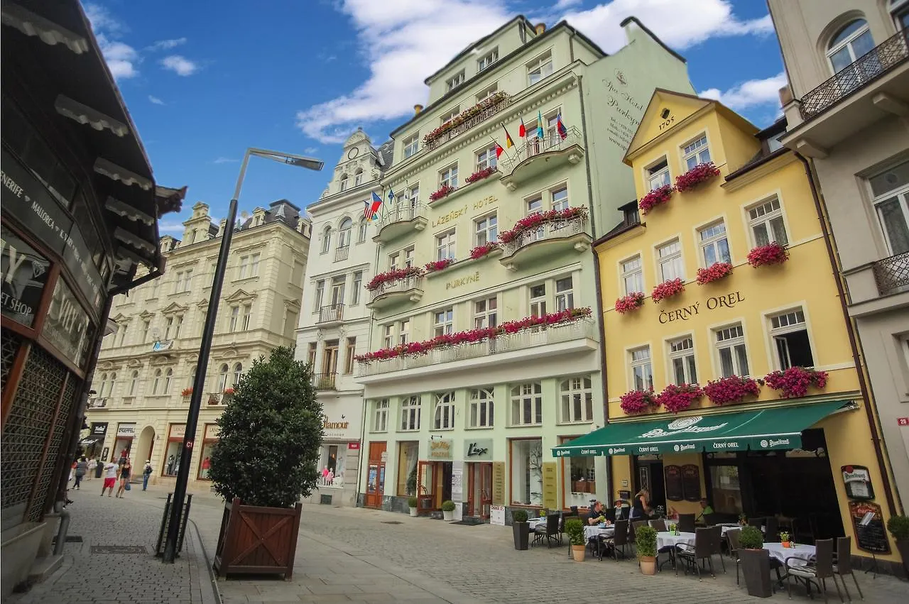 Spa Hotel Purkyne Карловы Вары