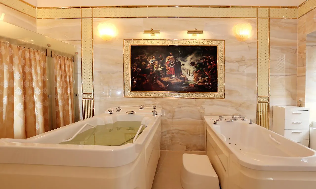 Spa Hotel Purkyne Карловы Вары 3*,  Чехия